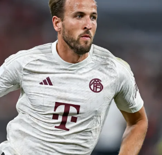 仅为自己的 仅为自己的