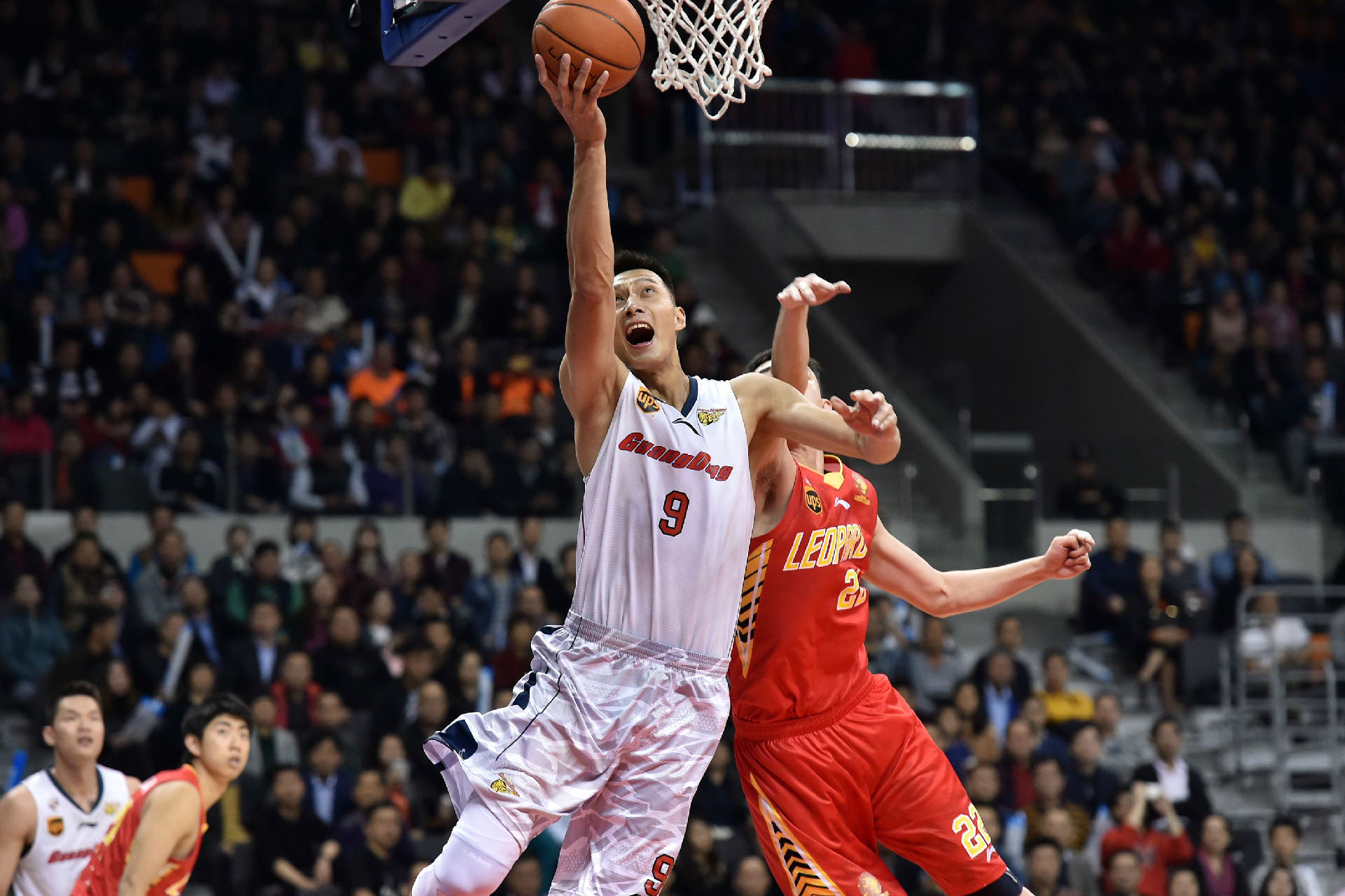 也可能影响 也可能影响