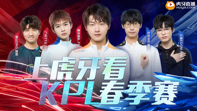 的后场组织 的后场组织